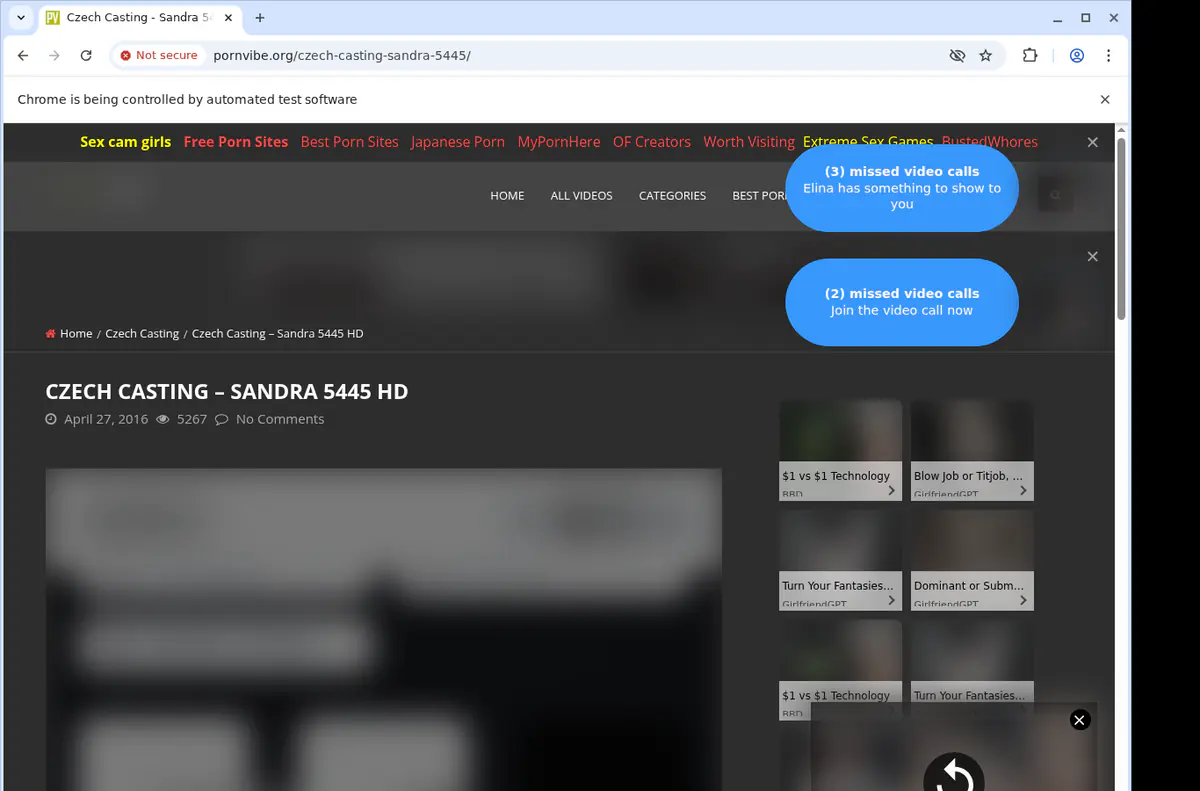 Pornvibe Video Downloader screenshot 2