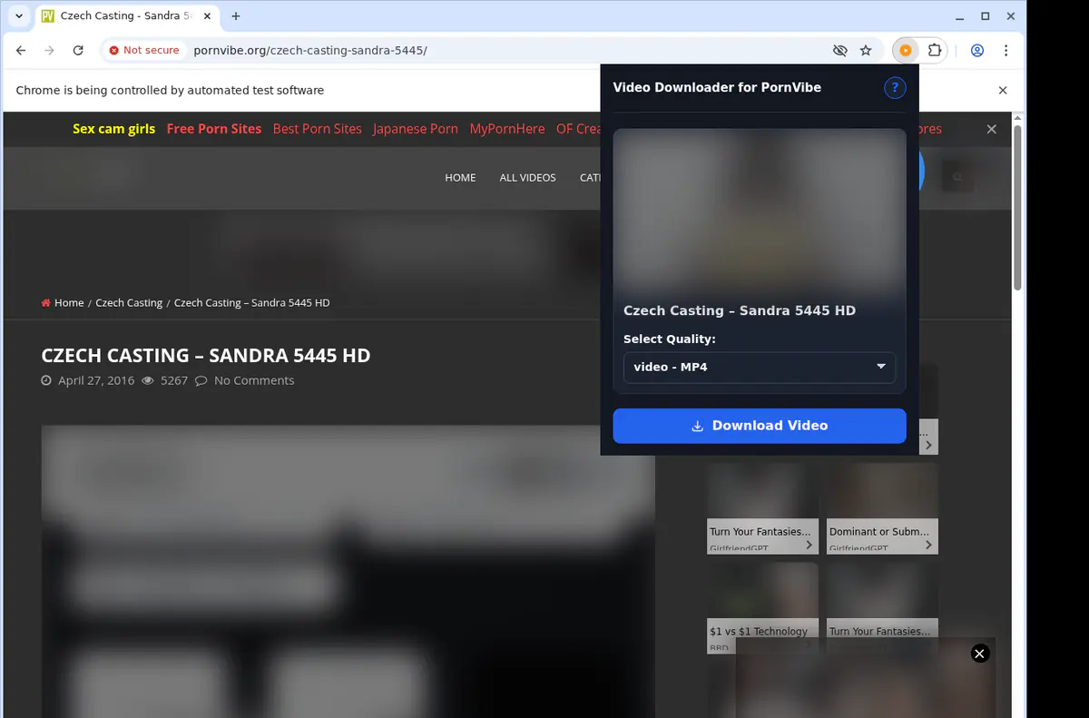 Pornvibe Video Downloader screenshot 3