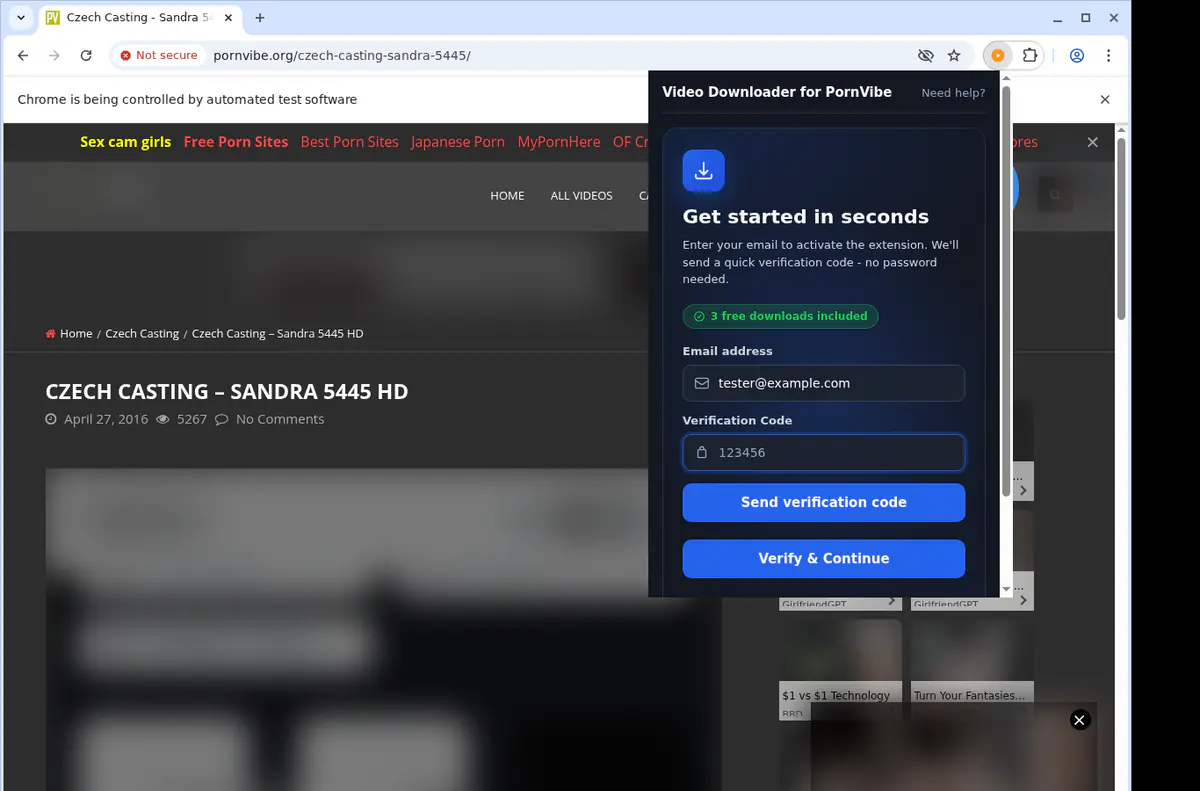 Pornvibe Video Downloader screenshot 4