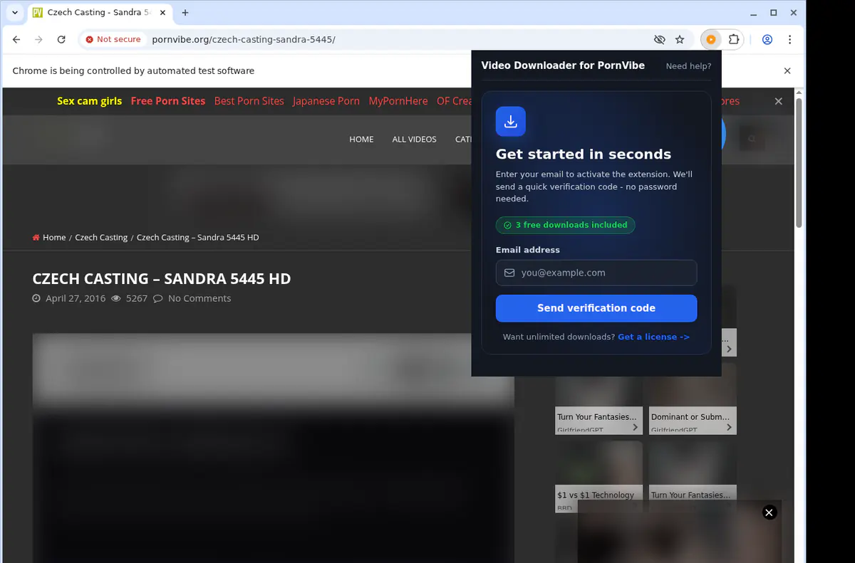 Pornvibe Video Downloader screenshot 5